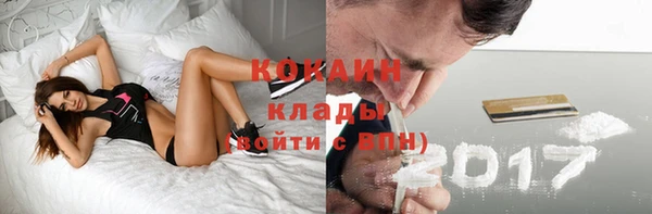 винт Краснослободск